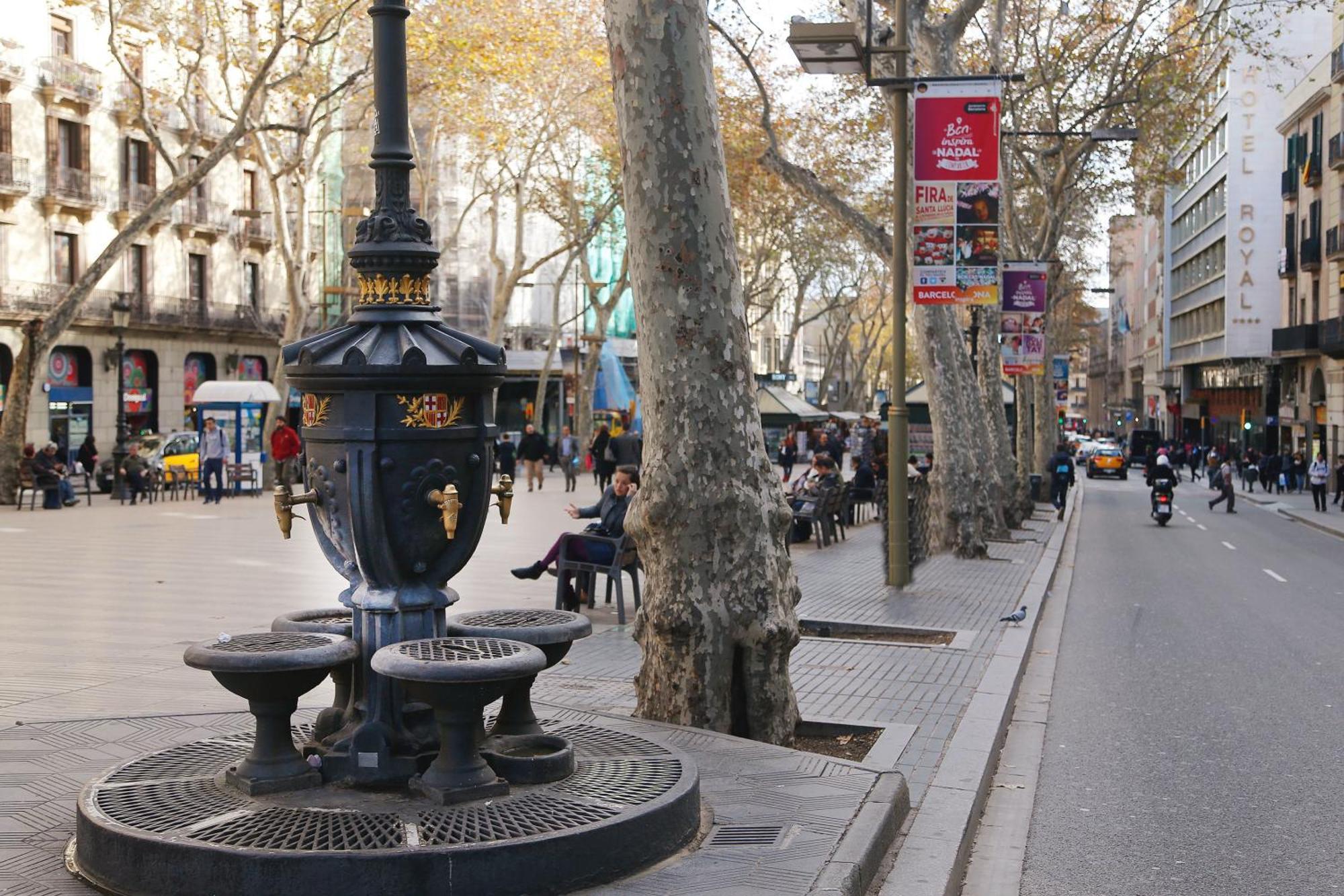 Royal Ramblas — Fotos 3